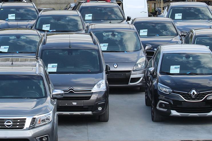 Van de jonge bedrijfswagen tot de betere occasie