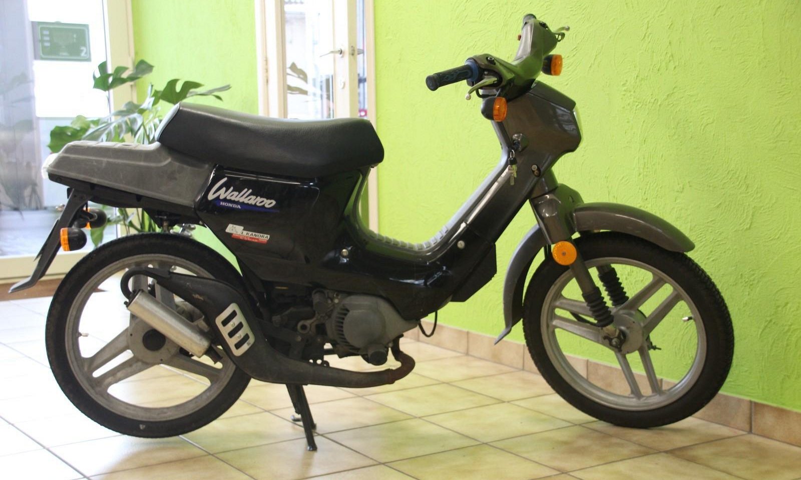 Honda Wallaroo - Deluxe