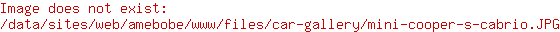 MINI Cooper S cabrio - 1.6i / airco / cruise control / zetelverwarming